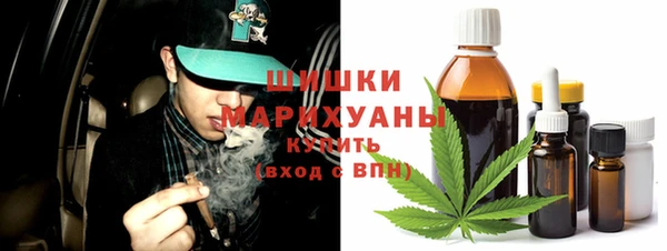 шишки Вяземский