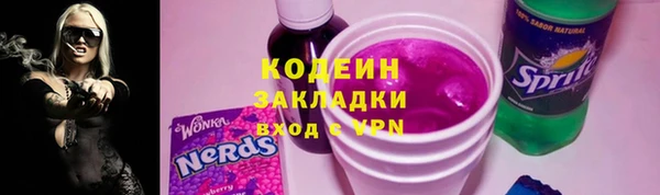 шишки Вяземский