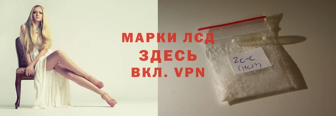 шишки Вяземский