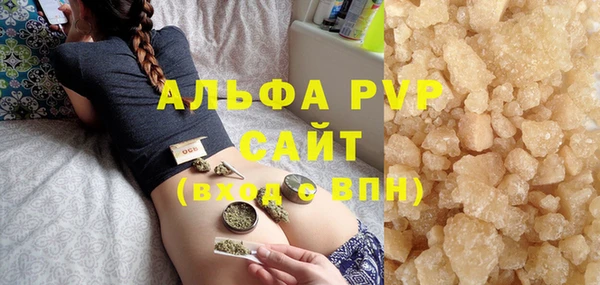 PSILOCYBIN Тында