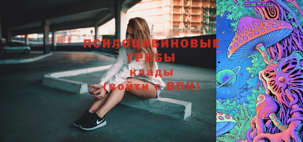 МДПВ Горно-Алтайск