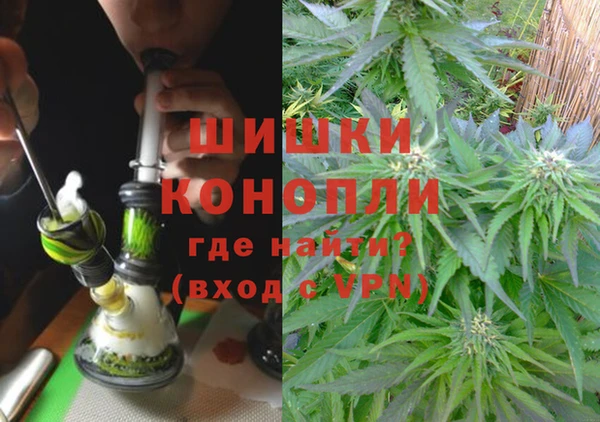 PSILOCYBIN Тында