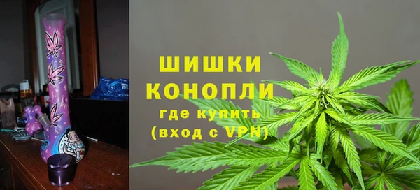 молекула духа Горняк